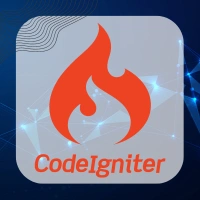 Codeigniter Developer in delhi by Bigsea Infotech
