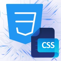 css design Services by Bigsea Infotech